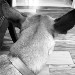 Meet your Posher, Phuong